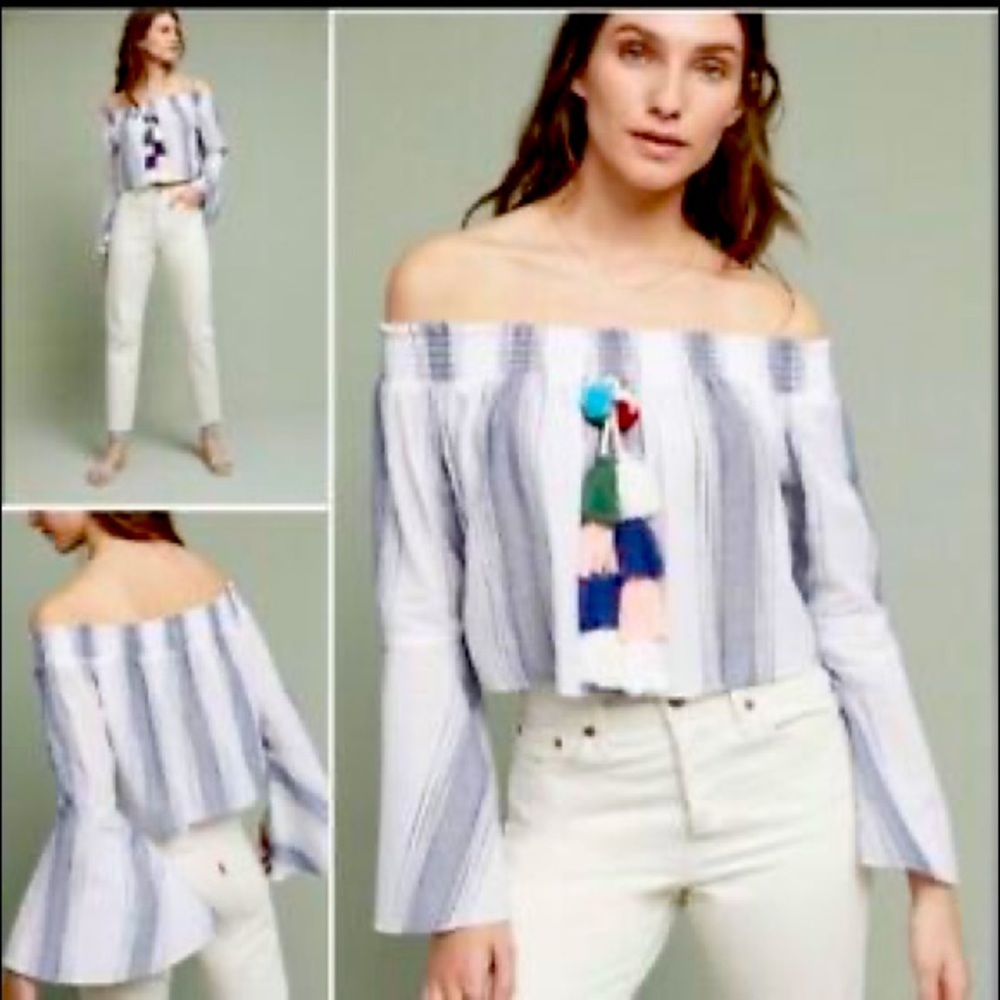 Anthropology top